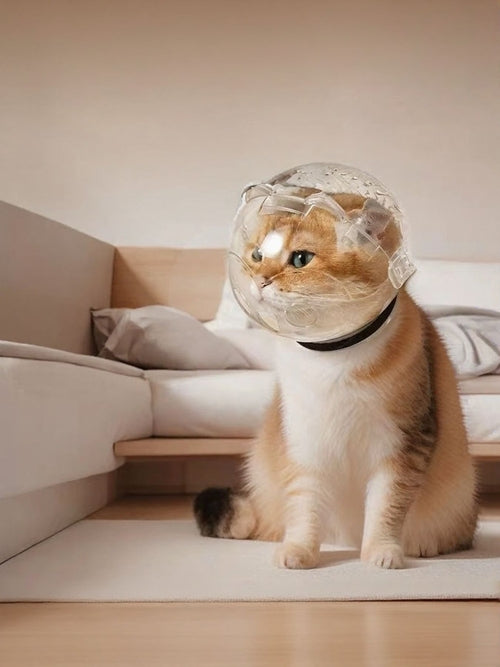 Transparent anti-bite pet spherical head cover by Pear Daisy, designed to protect pets from biting and chewing.