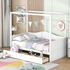 Start2Finish twin size canopy day bed with storage drawers, wooden bed frame with canopy for bedroom or guest room decor.