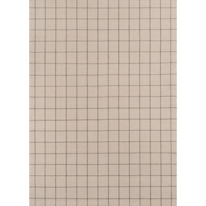 Start2Finish ivory rectangle area rug, 5&