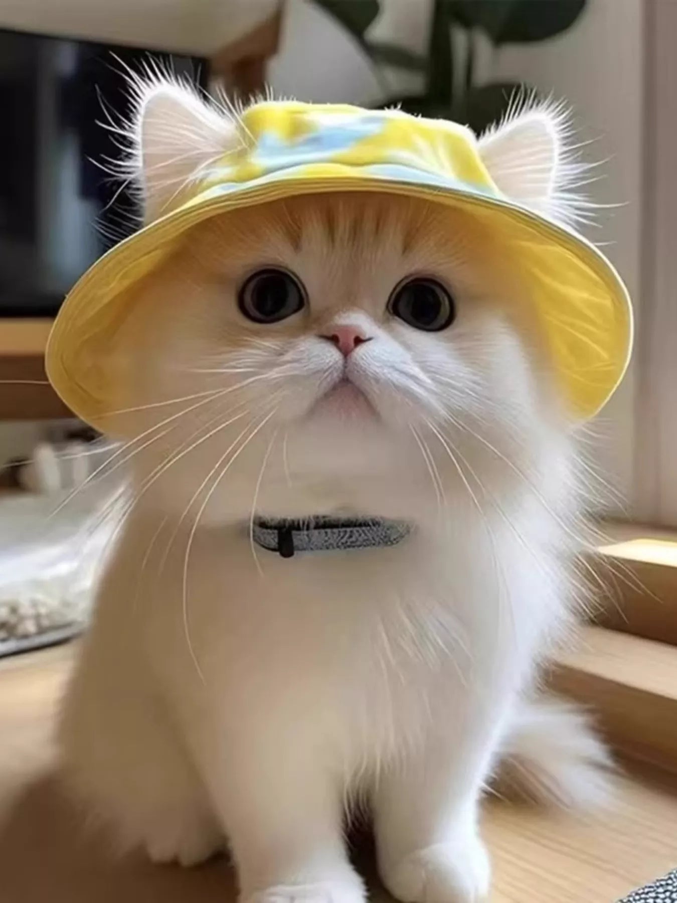 Pear Daisy pet bucket hat in colorful fabric, designed for home and garden use, with a wide brim and casual style.