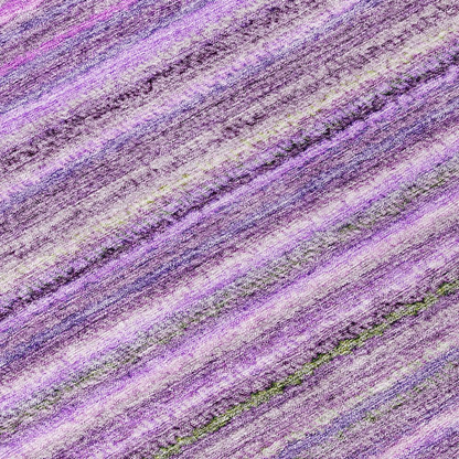 Start2Finish Chantille ACN598 purple 8x8 rug with intricate patterns, soft texture, and vibrant color ideal for living room decor.