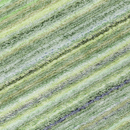 Start2Finish Chantille ACN598 green 8x8 rug with intricate pattern and plush texture, perfect for living room or bedroom decor.