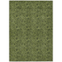 Start2Finish Chantille ACN661 green 9x12 rug with intricate pattern, soft texture, and vibrant color for stylish home decor.