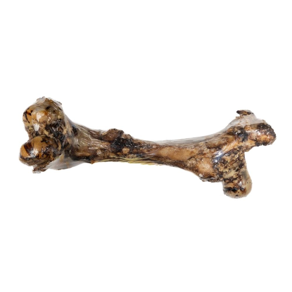 All-natural roasted whole femur bone dog treat from Start2Finish, 15-17 inches, ideal for powerful chewers, durable pet chew toy