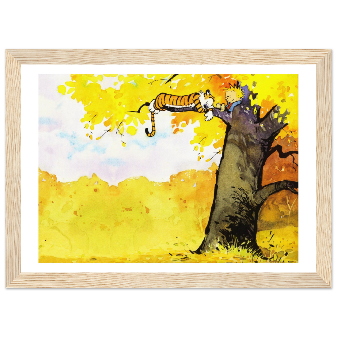 82605028
