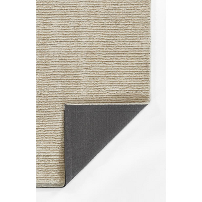 Start2Finish ivory transitional rectangle area rug, 5&