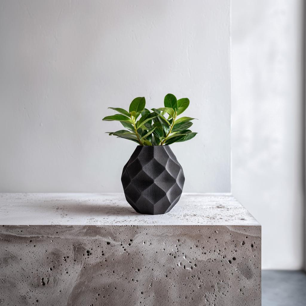 Geometric 3D printed vase by Start2Finish with dried flowers, modern faceted design for stylish home decor.