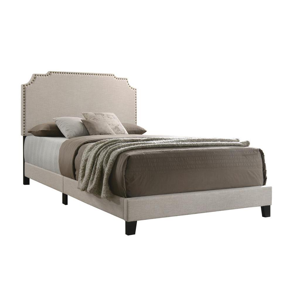 Tamarac upholstered full panel bed in beige with padded headboard and sleek frame, stylish and comfortable bedroom furniture.