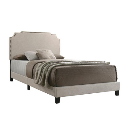 Tamarac upholstered full panel bed in beige with padded headboard and sleek frame, stylish and comfortable bedroom furniture.
