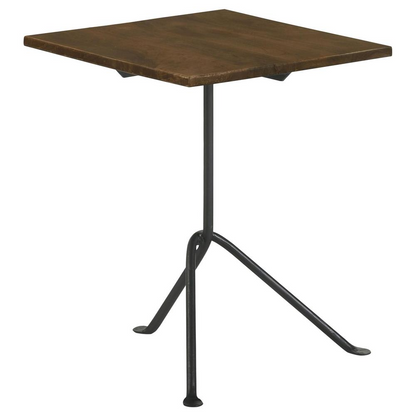 Dark brown Heitor Square Wood Top Accent Side Table by Start2Finish with a sleek, modern design and sturdy wooden surface.