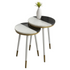 Start2Finish Taj 2-Pack marble top side tables showing sleek marble surfaces with wooden legs, modern furniture design.