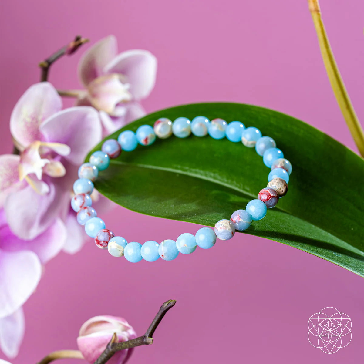 Start2Finish Empath’s Shield Aqua Terra Jasper bracelet with 6mm beads, featuring natural gemstone jewelry for healing and style.