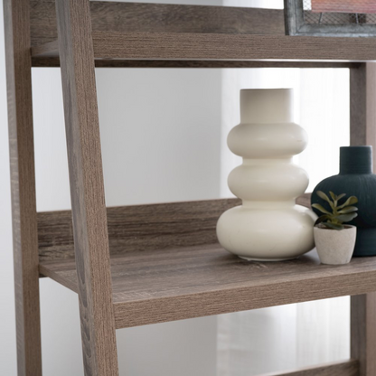Start2Finish Tracey Ladder Bookcase with multiple shelves for stylish storage and display in modern home or office decor.