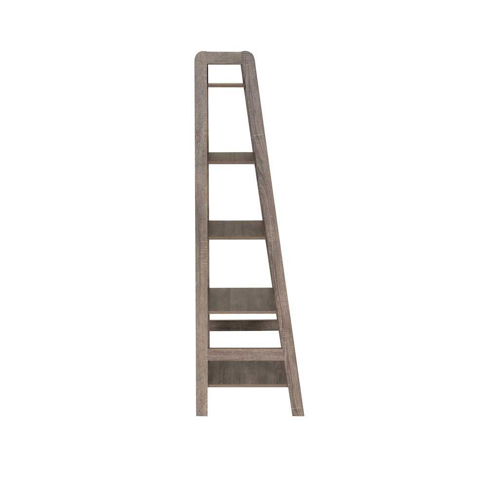 Start2Finish Tracey Ladder Bookcase featuring multiple shelves and a modern wooden design for stylish home storage.