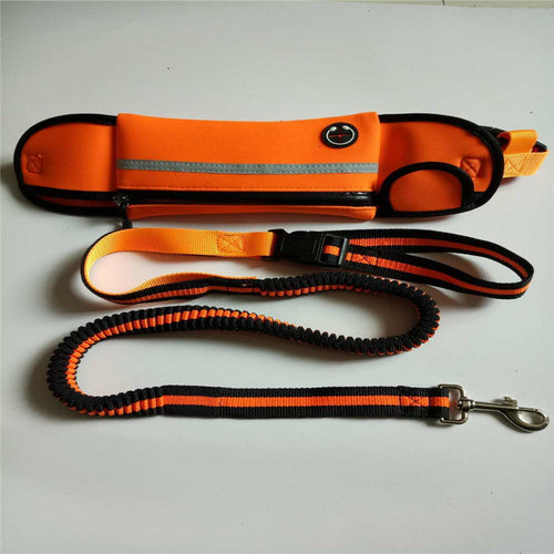 Maroon Asteria waterproof pet waist bag with reflective straps and built-in traction rope, suitable for outdoor activities with dogs.