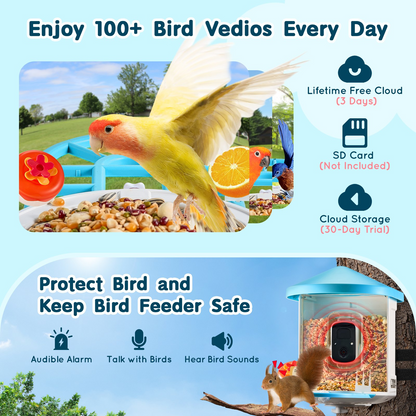 Start2Finish VEVOR smart bird feeder with camera, green solar-powered outdoor bird watching device showing bird images and camera lens.