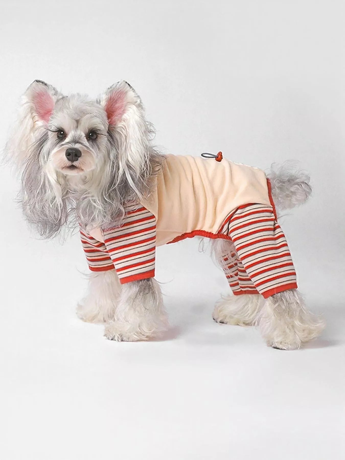 Comfortable striped pet jumpsuit by Pear Daisy, featuring a cozy design suitable for home and outdoor wear for small pets.