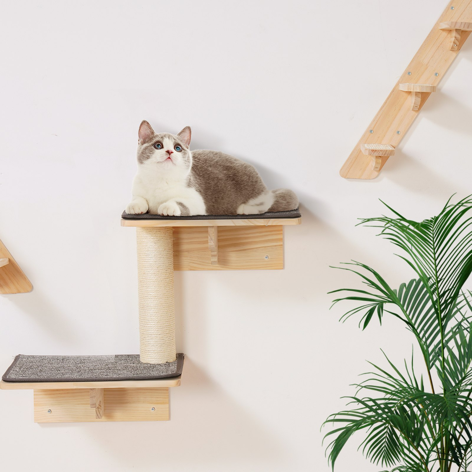 Start2Finish VEVOR wall mounted cat shelves set with perches, hammocks, climbing boards, and beds for cats up to 40 lbs.