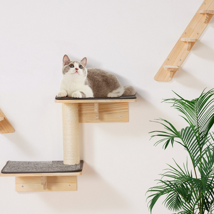 Start2Finish VEVOR wall mounted cat shelves set with perches, hammocks, climbing boards, and beds for cats up to 40 lbs.