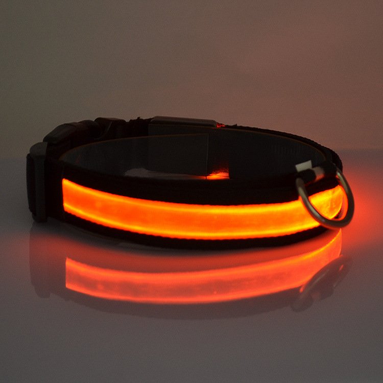 Fuchsia Molly LED light-up dog collar with adjustable strap and bright illumination for nighttime safety.