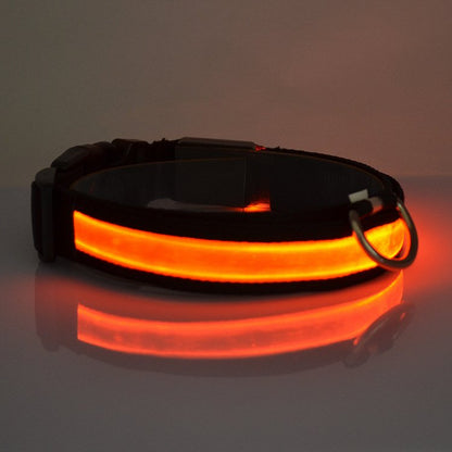 Fuchsia Molly LED light-up dog collar with adjustable strap and bright illumination for nighttime safety.