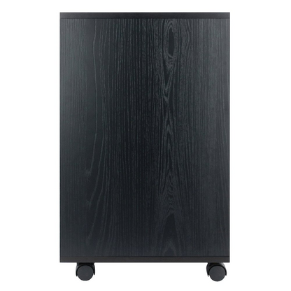 Start2Finish Norfolk 4 Bins, 2 Drawer Mobile Cabinet in black finish, sturdy furniture with ample storage and mobility features.