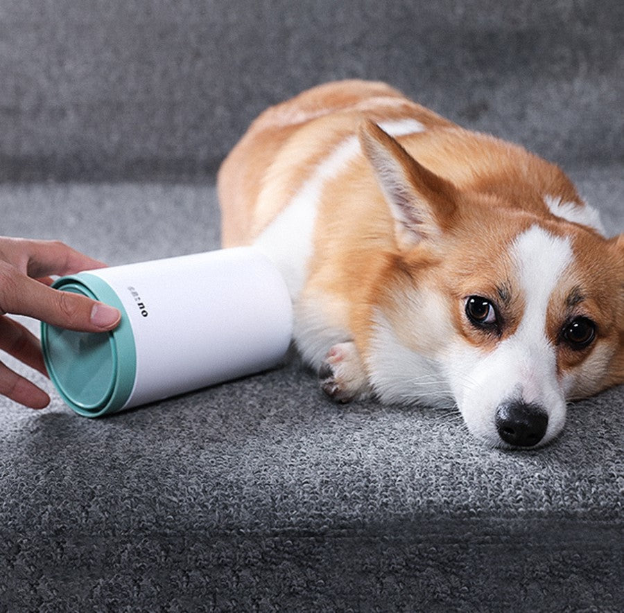 Maroon Asteria portable pet paw cleaner cup with soft silicone bristles for gentle paw cleaning.