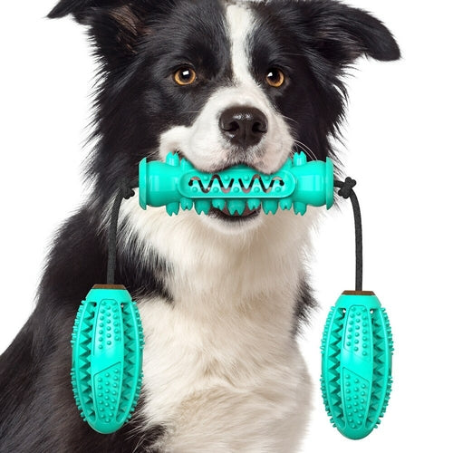 Maroon Asteria dog chew toys and rubber bones for teeth cleaning, featuring pet toothbrush design for dental health.