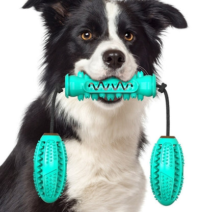 Maroon Asteria dog chew toys and rubber bones for teeth cleaning, featuring pet toothbrush design for dental health.