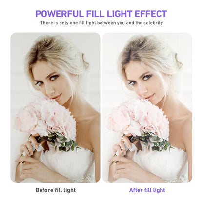 Yellow Pandora 10-inch LED ring light with phone tripod stand kit, ideal for mobile and laptop photography or video recording.