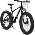 Carmine Juneberry TerraForce City-Cruizer 26-inch fat tire mountain bike with 21-speed gear system and full suspension