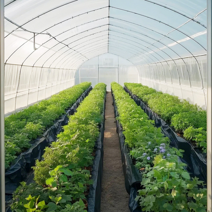 Start2Finish VEVOR 3ft x 50ft heavy-duty black plastic sheeting roll, 4 mil thick drop cloth and vapor barrier tarp.