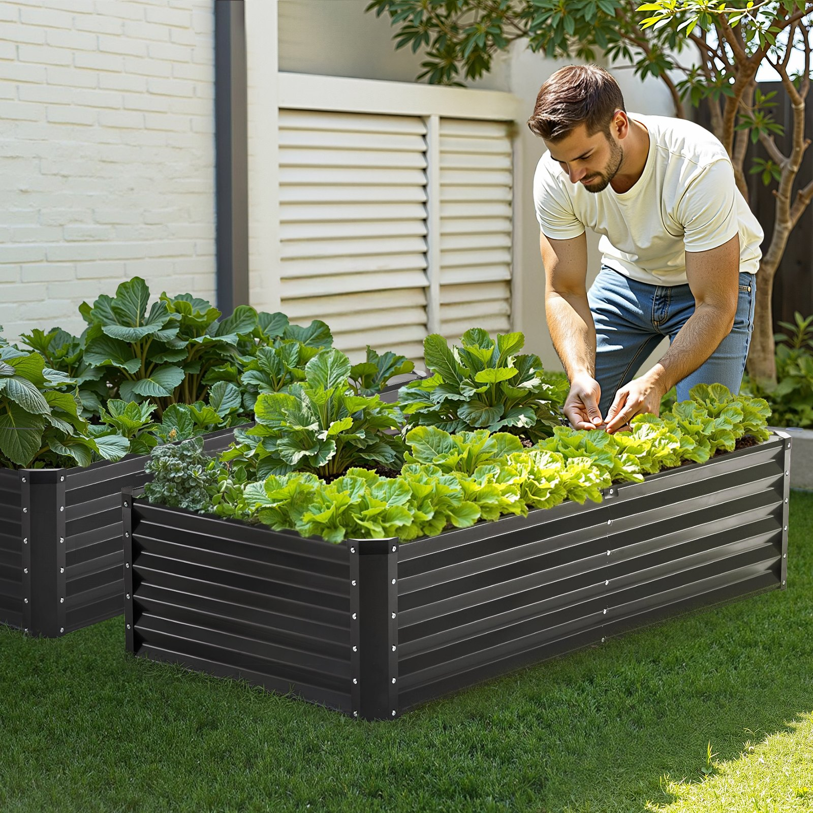 Start2Finish VEVOR metal raised garden bed, 6x3x1.5 ft galvanized planter box with open bottom for vegetables, flowers, herbs, and succulents.