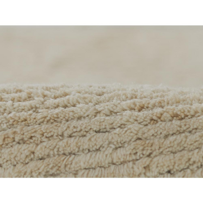 Ivory transitional rectangle area rug in 5&
