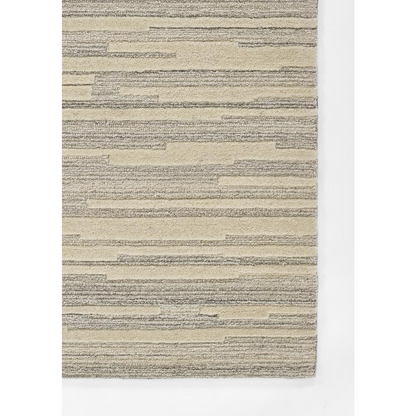 Start2Finish contemporary grey rectangle area rug, 5&