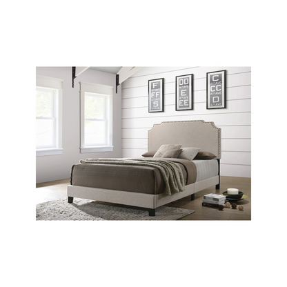 Start2Finish Tamarac upholstered queen panel bed in beige with a padded headboard and modern design for bedroom decor.