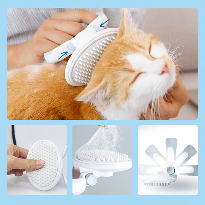 Maroon Asteria cats wool pet hair deshedding brush set with comb for removing loose fur from cats and pets.