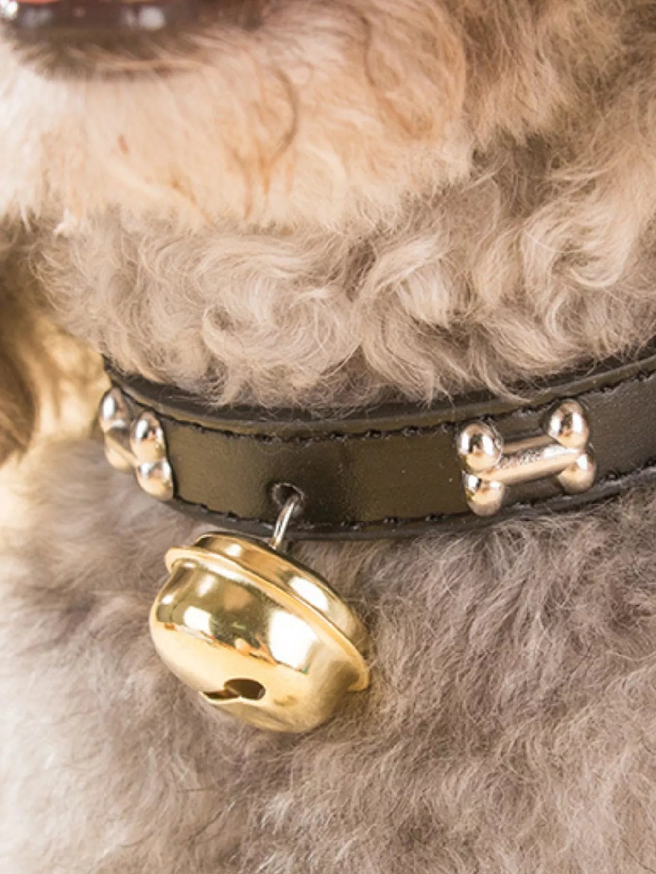 Leather pet collar with bell from Pear Daisy, featuring a durable design and adjustable fit for cats or small dogs.