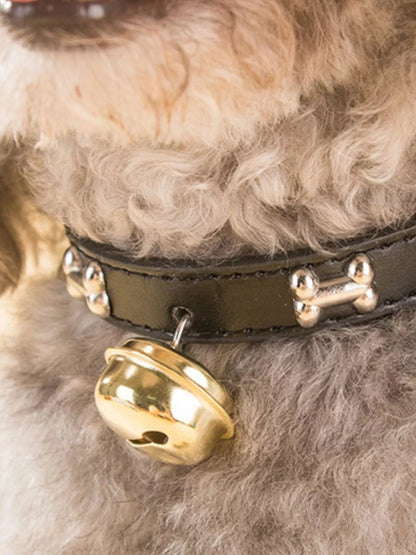 Leather pet collar with bell from Pear Daisy, featuring a durable design and adjustable fit for cats or small dogs.