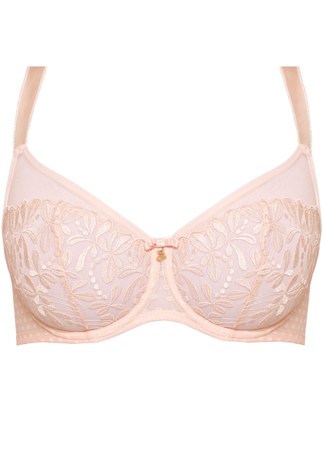 Start2Finish Sheer Mesh Embroidered Full Coverage Bra with floral details, offering comfortable support and elegant design.