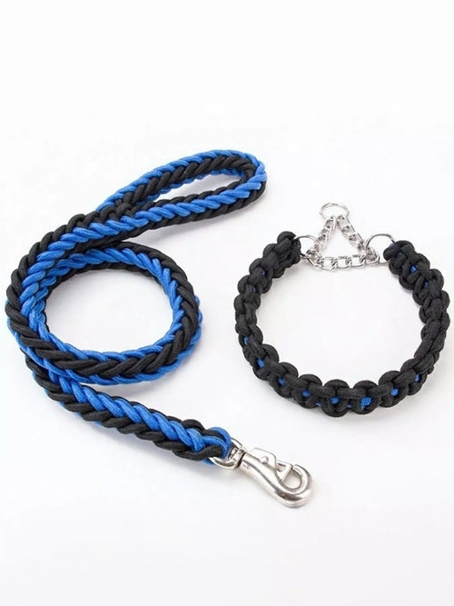 Pear Daisy braided rope pet leash with metal clasp, durable and stylish for walking dogs in a home and garden setting.