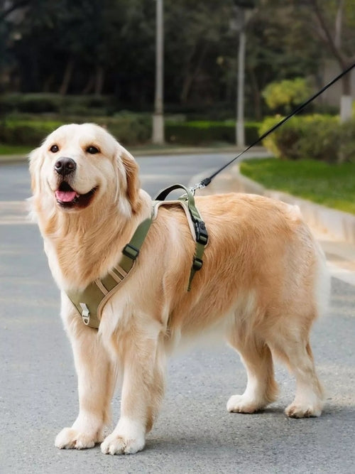 Adjustable reflective pet harness by Pear Daisy, featuring bright straps and secure buckles for outdoor walks with dogs.