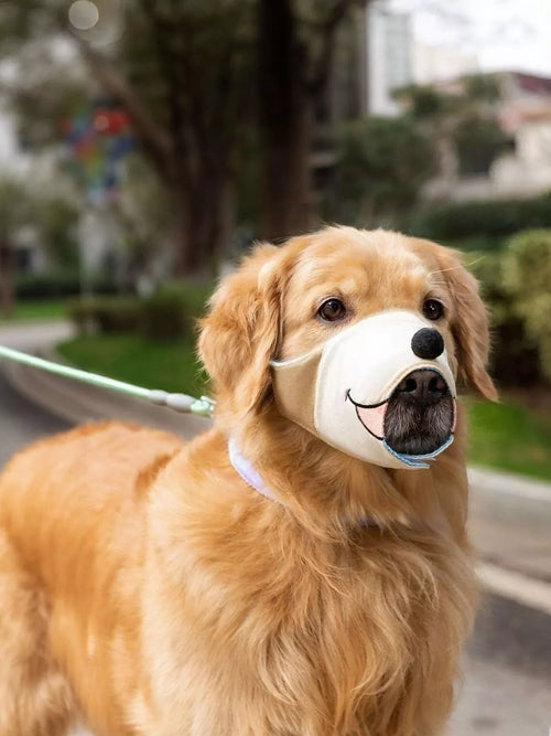 Pear Daisy anti-bite dog muzzle made of durable material, designed to prevent biting and ensure safety for pets.