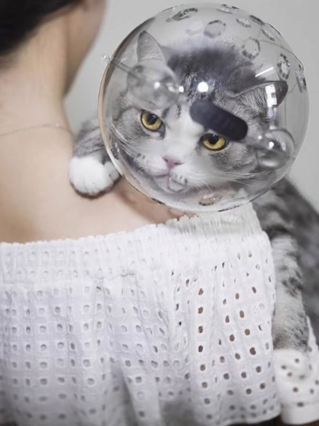 Transparent anti-bite pet spherical head cover by Pear Daisy, designed to protect pets from biting and scratching.