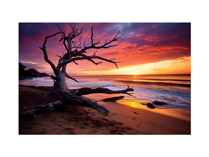 Start2Finish beach sunset canvas art print featuring vibrant ocean waves and colorful sky, ideal for home decor.