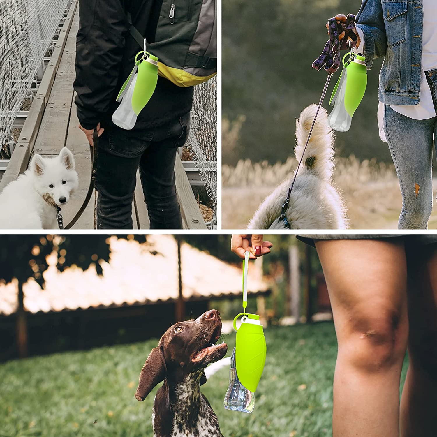 Maroon Asteria portable pet water dispenser and feeder, leak-proof design for convenient pet care on the go.