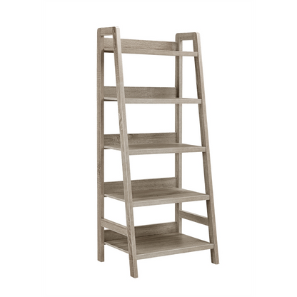 Start2Finish Tracey Ladder Bookcase with multiple shelves, modern wooden furniture for stylish home or office storage.