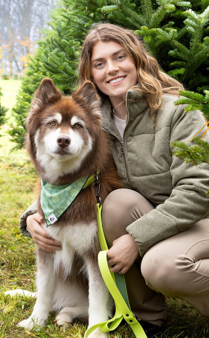 Burgundy Perses corduroy zip-up puffer jacket for pets, showcasing a cozy, stylish pet jacket with a front zipper and corduroy fabric.