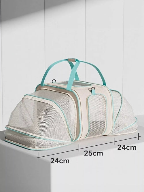 Pear Daisy rolling pet carrier with telescopic handle, sturdy wheels, and spacious interior for easy pet transport at home or on the go.