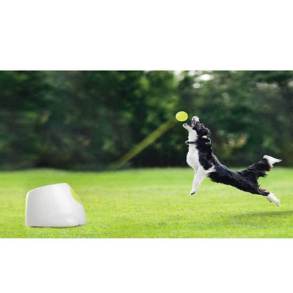 Ozdingo Hyper Fetch Maxi dog ball thrower with large automatic launcher for interactive pet play, shown with a tennis ball.
